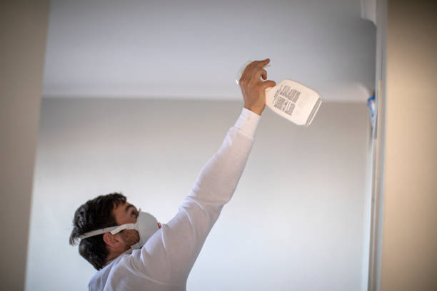 Best Mold Remediation for Schools in Rio Dell, CA